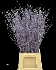 Betula / Berkentak Metallic Light Purple