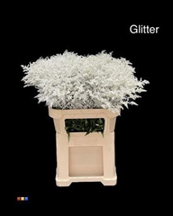 Solidago White + Glit 80cm Bio