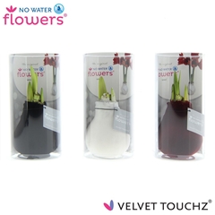 Hipp Wax 15cm