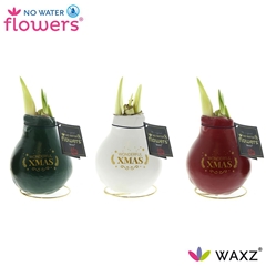 Hipp Wax 15cm