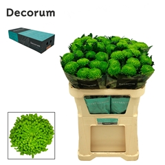 Chr G Alemani 70cm 80gram