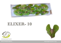 Anth A Elixer 15cm Ø
