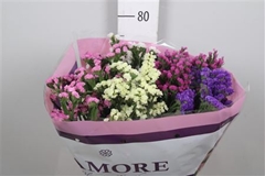 Lim S Mixed 80cm 55gram