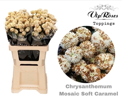 Chr T Mosaic Soft Caramel
