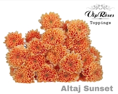 Chr T Altaj Sunset
