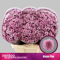 Chr S Kismo Pink 55cm 100g