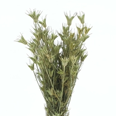 Droogbl Bewerkt H% 50cm 200gram