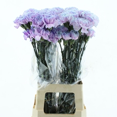Di St Ov Klb 21% 70cm 23