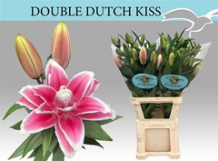 Li Or Du Dd Kiss 90cm 51+
