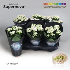 Kal Ge Supernova