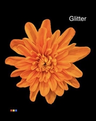Chr T Euro Orange V Yellow + Glit Bio