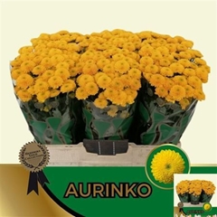 Chr San Aaa Aurinko 53cm 100g