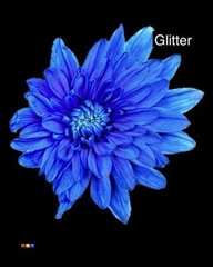 Chr T Baltica Blue + Glit Bio