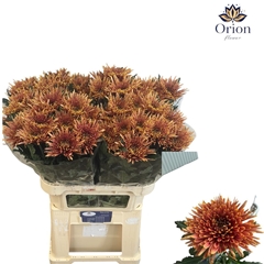Chr G Tula Copper 80cm 90gram