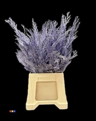 Coniferen Metallic Light Purple