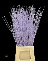 Betula / Berkentak Light Milka