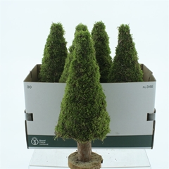 Xmas Art 50cm