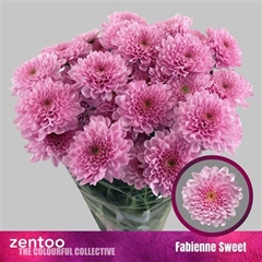 Chr T Fabienne Sweet 70cm 90gram