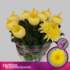 Chr G Magnum Yellow 70cm 95gram