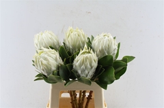 Protea Cy Arctic Ice 60cm