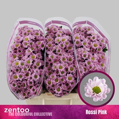 Chr San Rossi Pink 55cm 100g