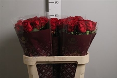 R Gr Red Naomi! 80cm 5,5cm