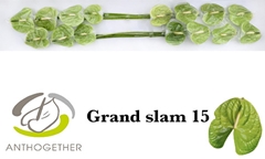 Anth A Grand Slam 7cm Ø