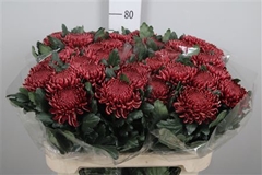 Chr G Bigoudi Red 80cm 115gram
