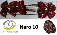 Anth A Nero 15cm Ø