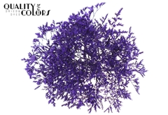 Limonium Purple 30cm 45gram