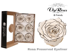 R Preserved Eyeliner