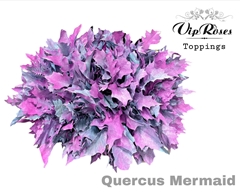 Quercus Mermaid