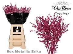 Ilex Metallic Erica 70 Cm