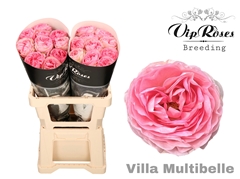 R Gr Villa Multibelle
