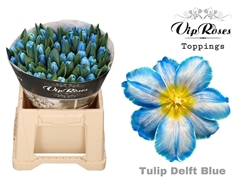 Tu En A Delft Blue