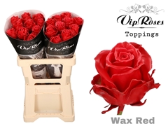 R Gr Wax Red (60CM)