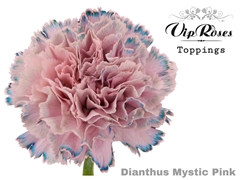 Di St Mystic Pink