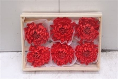 Wax Bol Chrysant Rood