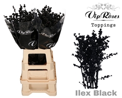 Ilex Black 80 Cm