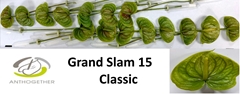 Anth A Grand Slam 7cm Ø
