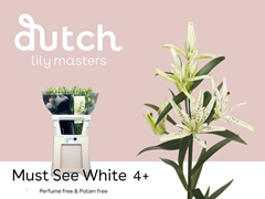 Li As Must See 70cm 45+
