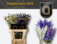 Delph Mixed 80cm 23