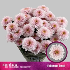 Chr T Fabienne Pearl 70cm 85gram