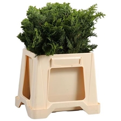 Cham Ob N Grac P Bs 40cm