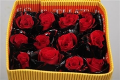 R Gr Colortreated 70cm