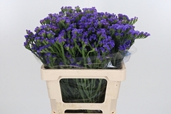 Lim S Cryst Dark Blu 60cm 25gram
