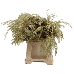 Dec Gr Kleurbe 21% 50cm