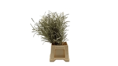Dec Gr Kleurbe 21% 50cm