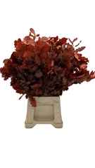 Decorgr Klb Pb 21% 60cm