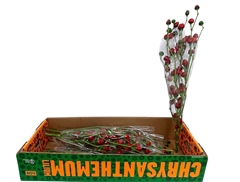 Sierpepers Tak 80cm